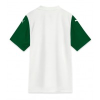 Maglie da calcio Palmeiras Seconda Maglia 2025-26 Manica Corta